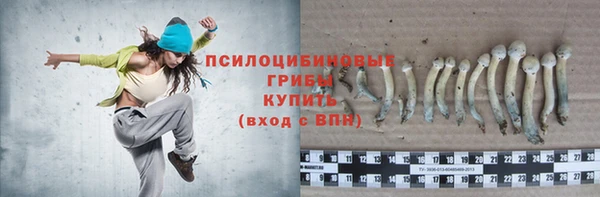 МДПВ Рославль