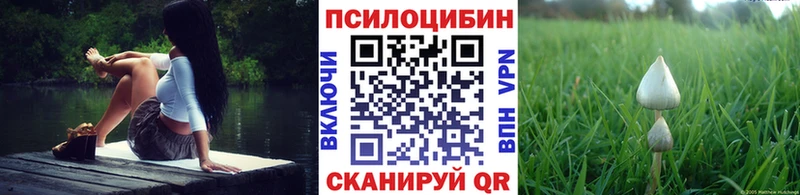 купить наркотик  гидра сайт  Галлюциногенные грибы MAGIC MUSHROOMS  Бакал 